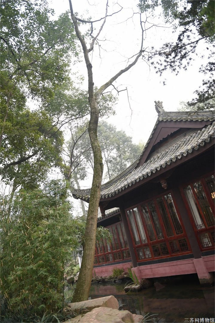 合欢