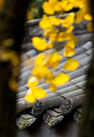 遇见三苏祠